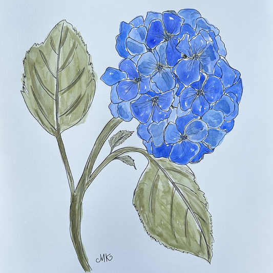 Hydrangea I
