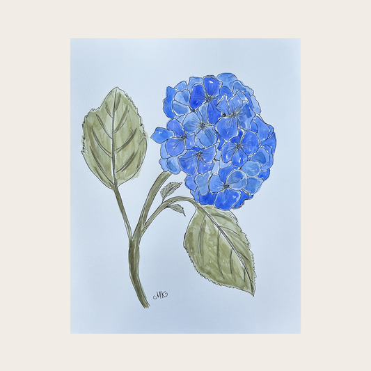 Hydrangea I