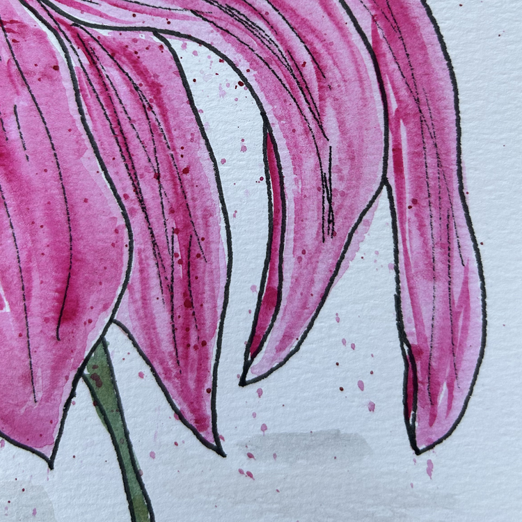 Coneflower I