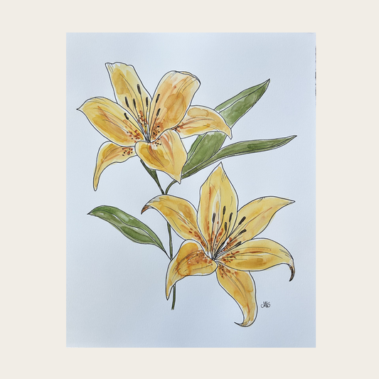 Lily I
