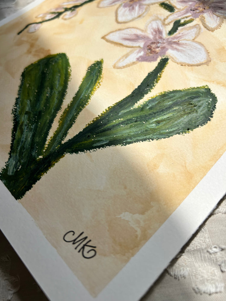 15x15 Orchid I