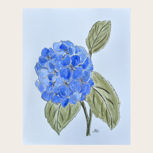 Hydrangea II