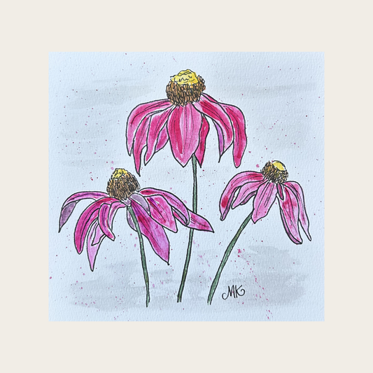 Coneflower II