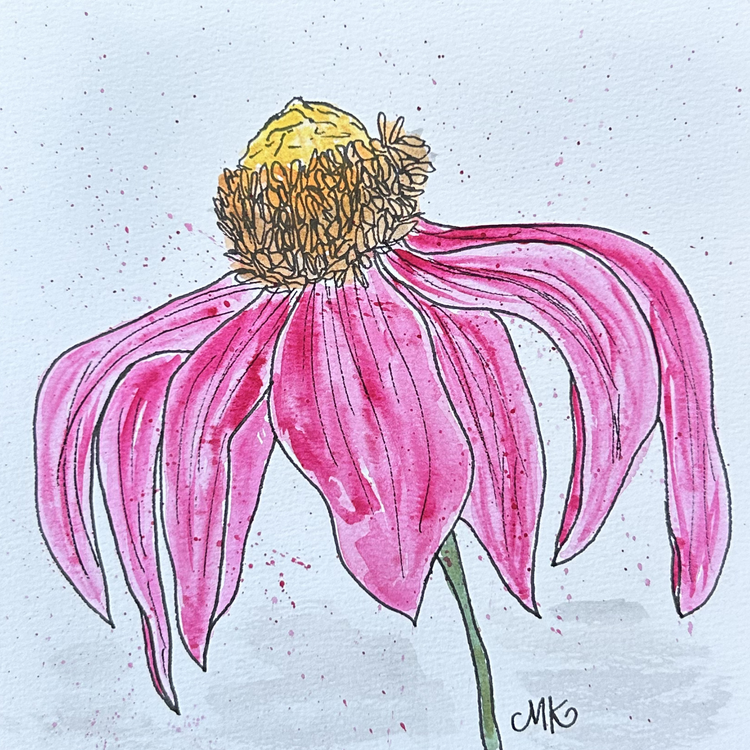 Coneflower I