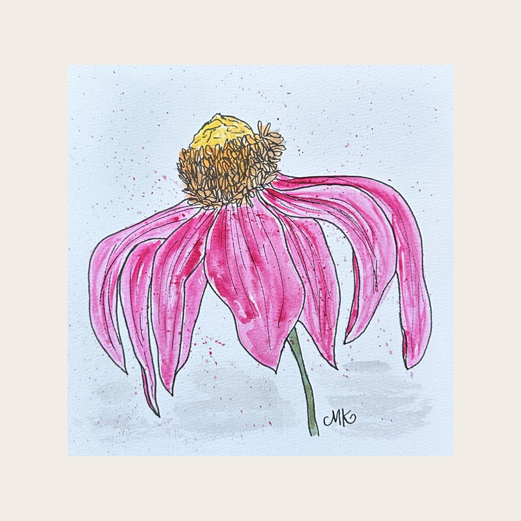 Coneflower I