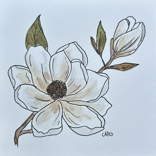 Magnolia IV
