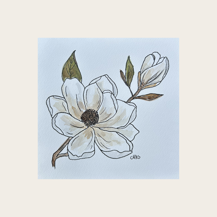 Magnolia IV