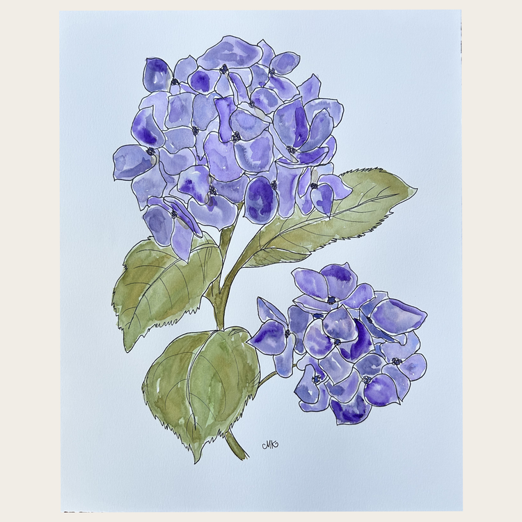 Hydrangea III