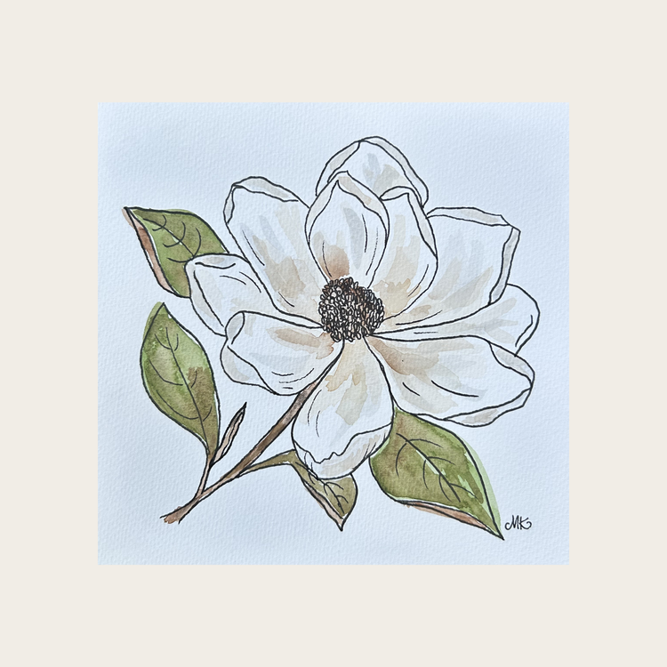 Magnolia V