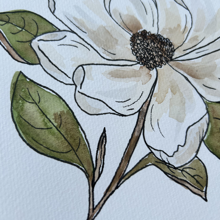 Magnolia V