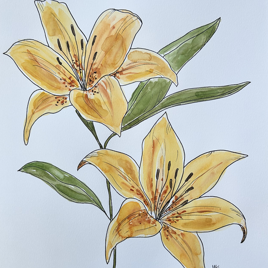 Lily I