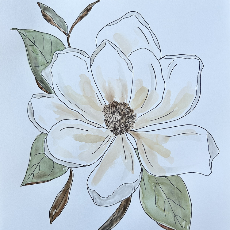 Magnolia II