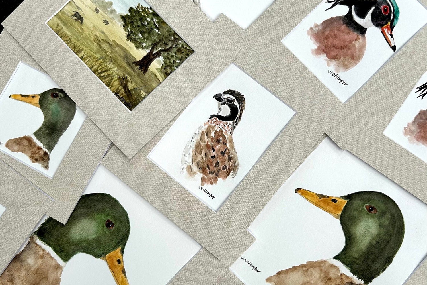 Set of original paintings of southern wildlife