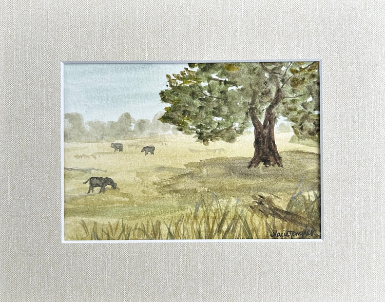 Green Pastures